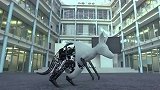 德国人发明袋鼠机器人，要是跟真的袋鼠PK，能打赢吗