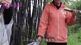 广西最牛的甘蔗，甘蔗皮用手就能撕掉，还真是第一次见呢