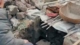 女子晒爸爸地窖种山药，根根笔直光滑不沾泥！