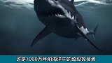 史前深海巨兽：巨齿鲨对战长野鲸，谁才是远古海洋霸主
