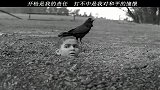 活着，对于生长在硝烟里的他们，是多么奢望的事情