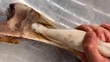 原来骨髓是这样造假的，看到这一幕，我的口水都快流出来了