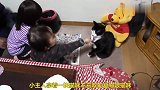 小主人用食物挑衅猫咪，遭到喵喵拳暴打，太意外了