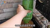 铲屎官有事离家，毛孩子们独自在家十天能行吗？真是有点担心
