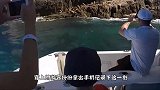 海狮跳到船上要吃的，小鱼看不上眼，就要吃大鱼
