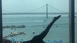 你肯定看的是海里漂过的船