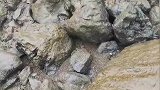 鱼没钓到，钓到鱼饵了