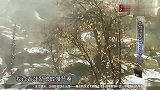 越野千里：陶喆冰天雪地，勇登雪山，太惊险了