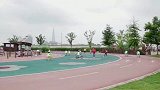 迷你特工队：不得不说，鲨鱼其实也是能上岸战斗的