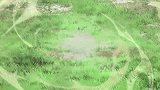 闹闹队不听教训，破坏公园环境，丹出面教训他们