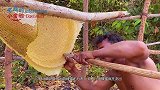 汽车在停车场几天没开，一堆蜜蜂就在后头筑了个巢，不愁蜂蜜吃了