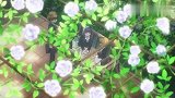 知世好难过，白准备这么好看的裙子了，小樱都不给自己机会