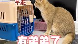 无辜脸老盆友这个弟弟能退吗？