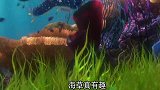 海底总动员：尼莫这样的老师谁不想拥有，风趣幽默