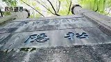 佳节在望，金桂飘香，什么美食才是此刻的颜值担当？