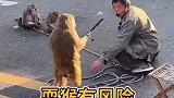 耍猴有风险，猴子急眼了