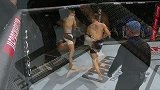 UFC-15年-UFC Fight Night 77：雏量级阿尔梅达vs布里查克集锦-精华