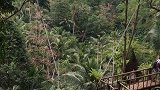 隐贤山庄莞你好玩 东莞隐贤山庄 好担心飞出去就回不来了
