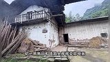 父母遭车祸胎儿被挤压而出，奶奶与叔叔因赔偿款反目