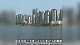 厦门筼筜湖惊现大量“奇特生物”？成群结队出现！专家解答