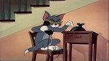 猫和老鼠：汤姆打不过杰瑞的表哥，于是就打电话找野猫帮忙！