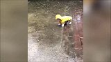 下雨天湿漉漉的，小狗狗就穿着雨衣出门了，太可爱了！