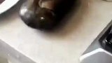 小乌龟找到了坐骑