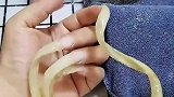 这么长的指甲生活方便吗