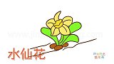 植物简笔画大全，画一朵胖胖的水仙花简笔画