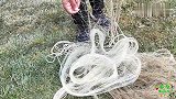 小伙第一次用4指眼大网追鱼，看到大货一网下撒下去，这下过瘾