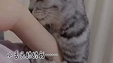 假装在哭泣，看看猫咪的反应，猫咪对你的爱超乎想象