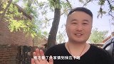 生吃槐花，蒸槐花，只放面粉可不行，阿龙用这个方法，槐花不沾黏