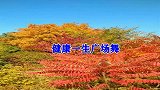 DJ广场舞《妹妹你是山里红》背面跟跳, 简单好看更易学