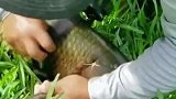 没想到水下世界这么美，太震撼了