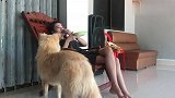 小姐姐真会偷懒，躺在椅子上喂狗狗吃东西