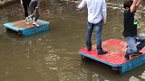 让她火一把！