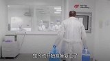 中国援助成效显著，塞尔维亚经济开始复苏，将欧洲诸国甩在身后！