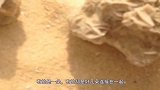 沙漠中旅游时，如果你看到了这种石头，记得一定要捡回来！