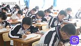 学霸被骂！衡水中学张锡峰爆金句，土猪拱白菜是现实还是低俗？