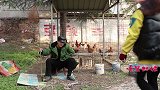 村妹看卖鸡的大爷“傻”，竟反骗大爷700多块钱，结局真逗