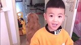 金毛犬做贼心虚，事情暴露了立马溜之大吉