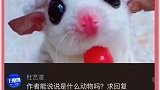这么可爱的小动物，那么多人都不认识