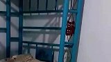 男子展示老家仍在用的防震床