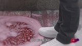 安家：徐文昌富二代身份坐实！房似锦搭桥富豪老爸，父子和好如初