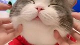 今天的不开心就止于此吧，明天依旧光芒万丈啊！宝贝～