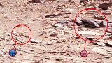 “好奇”号火星车发现有机分子！揭秘火星微生物