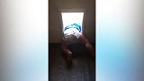小宝趴在那里，外面的世界到底是什么样子呀！