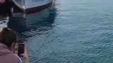 以为是大水怪，没想到是大鱼