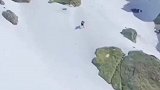 当山羊全速下雪山这速度简直了