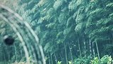 我的旅行日记休息一会儿继续